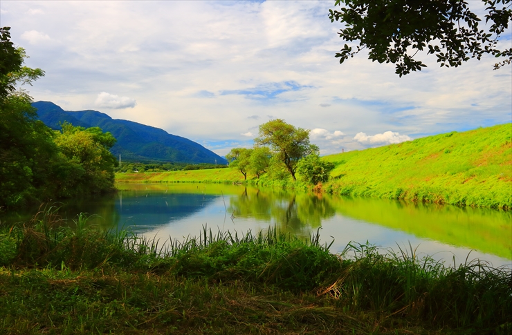 津屋川堤防彼岸花2024