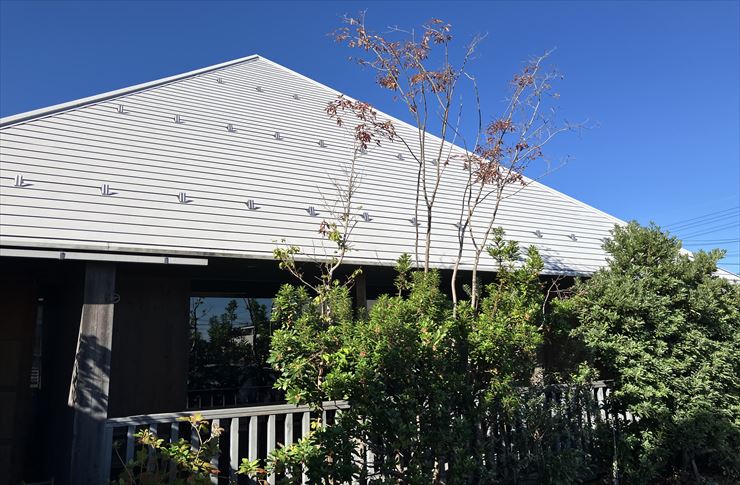 大垣市 喫茶nayuta