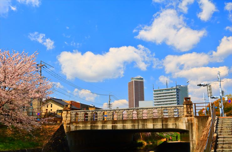 岐阜市 清水緑地公園 桜