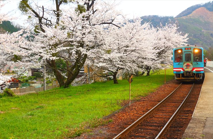 樽見鉄道 谷汲口駅